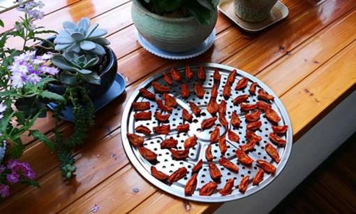 Vào mùa hè, 5 loại quả này sau khi phơi dưới nắng thì hương vị tăng lên gấp bội, ăn ngon hơn tươi, để cả năm trời cũng không bị hôi 