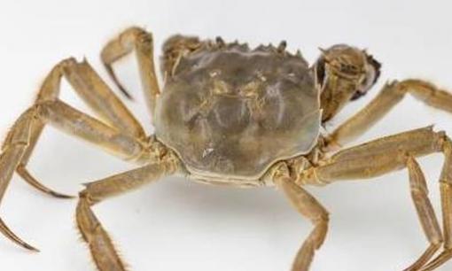 Người bệnh gan phải tránh những thực phẩm này trong bữa ăn hàng ngày, nếu không sẽ làm bệnh nặng thêm