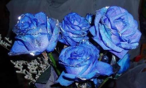 Người phụ nữ sinh vào 3 khung giờ này cuộc đời sung sướng hạnh phúc, được chồng sủng ái và con cái hiếu thảo