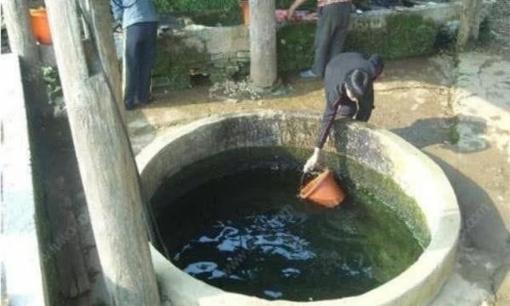 Cá biển ăn được, cá sông ăn được, tại sao cá giếng không ăn được, có điều là lạ! 