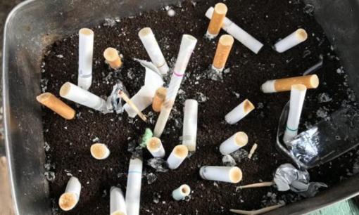 Người Nhật làm gì với bã cà phê? 7 lợi ích của bã cà phê, nếu bạn biết sẽ không vứt bỏ