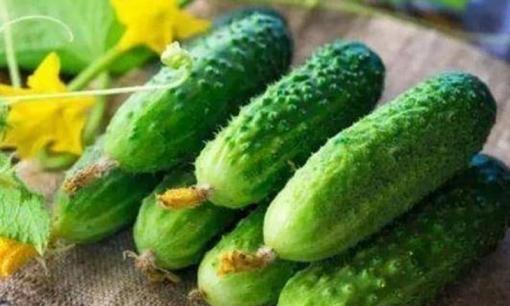 Dưa chuột và 'nó' là sự kết hợp hoàn hảo, quyết ăn trong một tuần, không chỉ giảm cân mà làn da cũng đẹp