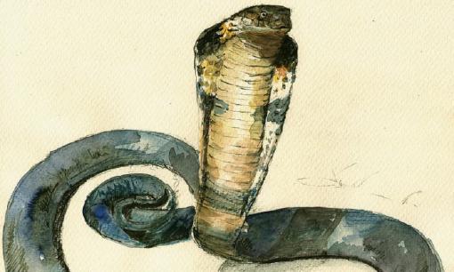 Cuối tuần này (2/7 - 3/7), top 3 con giáp gặp thời đổi mệnh, may mắn nhận lộc Thần Tài, sung sướng hơn người