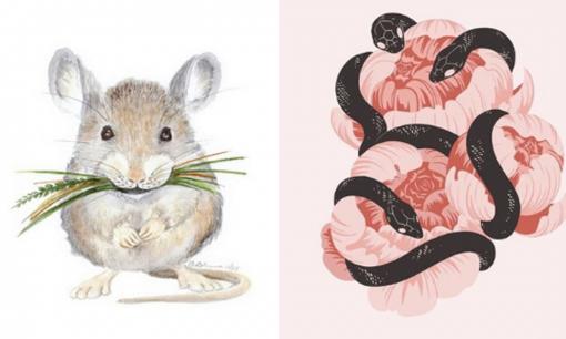 Tử vi 12 con giáp thứ 3 ngày 5/7/2022: Tuổi Tỵ thăng tiến không ngừng, Tý có điềm báo vướng thị phi