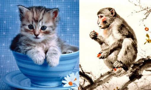 Tử vi 12 con giáp thứ 4 ngày 6/7/2022: Tuổi Mão có nhiều cơ hội để kiếm tiền, Thân rất chật vật