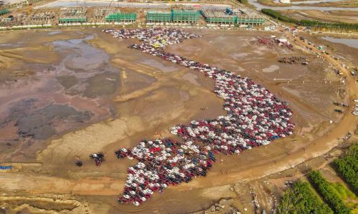 1.700 xe ô tô xếp hình bản đồ Việt Nam, lập kỷ lục lớn nhất từ trước đến nay