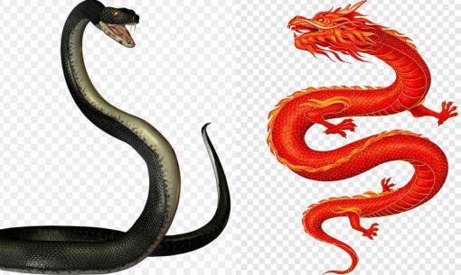 Tử vi 12 con giáp thứ 3 ngày 12/7/2022: Tuổi Thìn làm việc gì cũng dễ dàng, Tỵ gặp không ít sóng gió