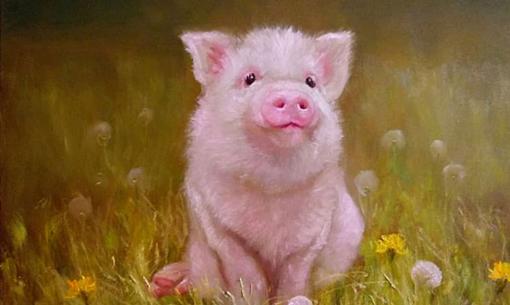 Định mệnh an bài: Trong 7 ngày tới, 3 con giáp vận may tới tấp, không phải lo lắng về tiền bạc 