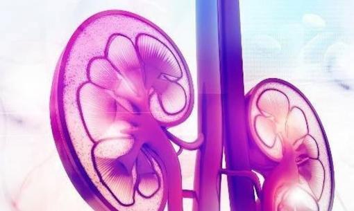 Thận không tốt, tai tiên tri? Nếu tai không có 3 loại 'dị tật' này thì xin chúc mừng, thận khí được duy trì tốt 