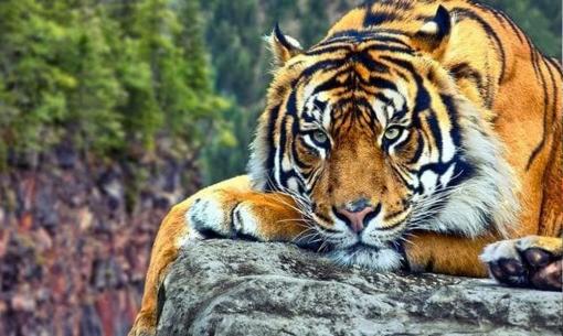 Vướng hạn xấu cuối năm 2022, 3 tuổi này chuẩn bị tinh thần đối diện với nhiều khó khăn, xui xẻo