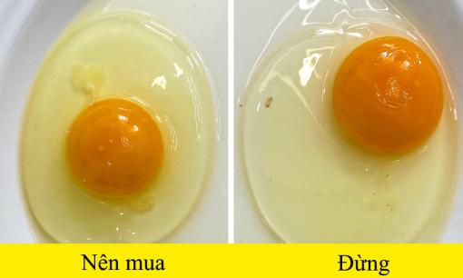 Cách chọn gà, trứng và nhiều loại thực phẩm tươi ngon trong cửa hàng, không phải ai cũng biết!