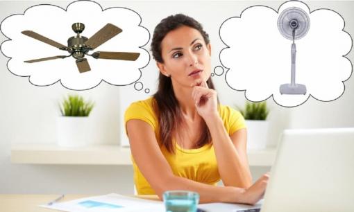 Nên dùng quạt cây hay quạt trần cho mùa hè? Một chi tiết sẽ quyết định lựa chọn đúng