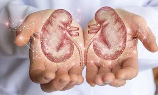 Nếu bạn đi tiểu nhiều hơn sau khi uống nước, điều đó có nghĩa là thận của bạn tốt hay không tốt, sau khi đọc 6 điểm này, bạn có thể hiểu được 