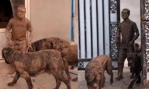 Người đàn ông dắt 3 chú chó đi dạo, khi quay về vợ không nhận ra mà phải thốt lên: 'Tác phẩm nghệ thuật này ở đâu ra?'