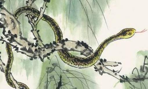 Người tuổi Tỵ sinh vào những tháng sau đây thì gia đạo hưng vượng, tài lộc tụ lại, cuộc sống giàu sang quyền quý!