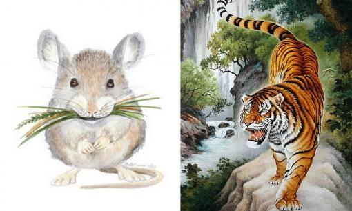 Tử vi 12 con giáp thứ 6 ngày 12/8/2022: Tuổi Dần có cơ hội thăng quan tiến chức, Tý vướng phải nhiều rắc rối