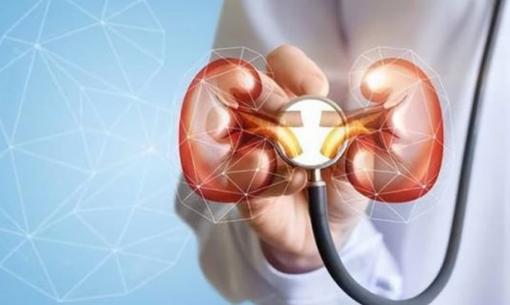 Axit uric cao liên tục có thể làm tổn thương cơ thể. Ăn nhiều hơn 4 loại thực phẩm này giúp giảm axit uric và ngăn ngừa bệnh gút