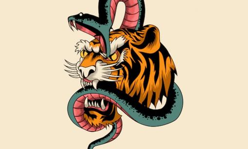 Tử vi 12 con giáp thứ 6 ngày 19/8/2022: Tuổi Tỵ đón niềm vui tài lộc, Dần gặp chuyện khó khăn