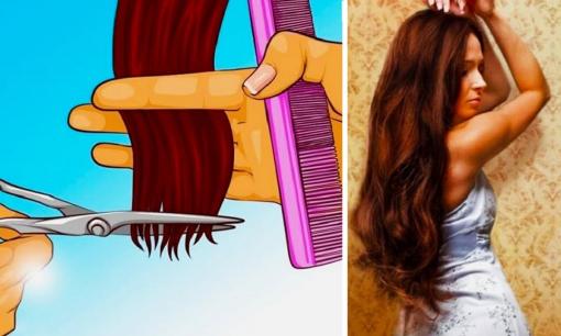 Cắt tóc thường xuyên có làm tóc mọc nhanh hơn không? Rất nhiều chị em vẫn lầm tưởng