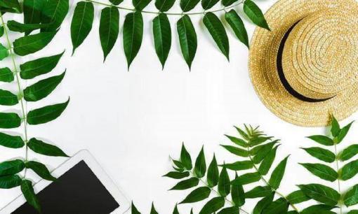 Kết hôn với một người phụ nữ có những đặc điểm này, xin chúc mừng, bạn đã tìm được kho báu!