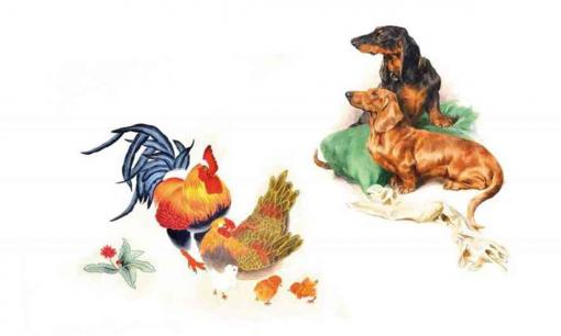 Tử vi 12 con giáp thứ 7 ngày 3/9/2022: Tuổi Dậu dễ thu tiền bạc về tay, Tuất bị tiểu nhân ám toán