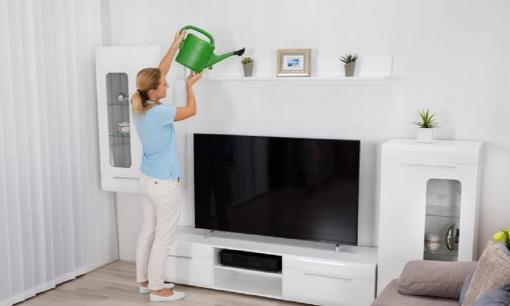 Đừng đổ nước thải từ điều hòa, tận dụng để làm những việc này, bạn sẽ tiết kiệm được ối tiền