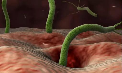 Ra ngoài ăn uống thịnh soạn, đề phòng vi khuẩn gây ung thư này! 