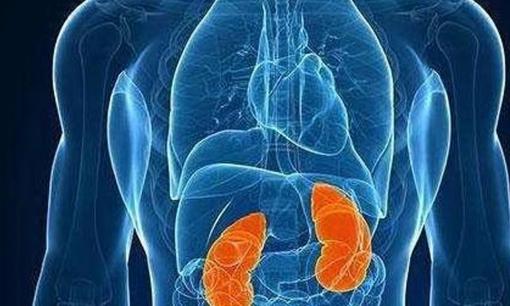 Nếu một người đàn ông thích làm 4 điều này, chín/mười người thận khỏe mạnh, đáng ghen tị