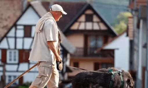 Người Đức sống lâu hơn trung bình thế giới gần 10 năm! Lý do là 5 thói quen này, đáng để học