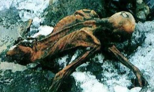 Xác ướp lâu đời nhất thế giới, giải mã người băng 'Oates'