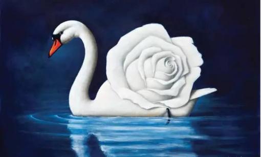 Trắc nghiệm tâm lý: Điều đầu tiên bạn nhìn thấy là gì, và điểm quyến rũ của bạn trong cuộc sống là gì?