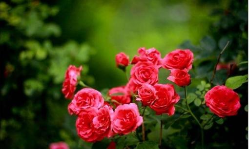 Đàn ông sau 40 tuổi mà vẫn chẳng đạt được gì thì “đường lui” tốt nhất chính là 4 điều này!