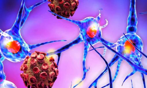 Nếu cha mẹ mắc phải 6 loại ung thư này, họ có thể sẽ di truyền sang thế hệ sau