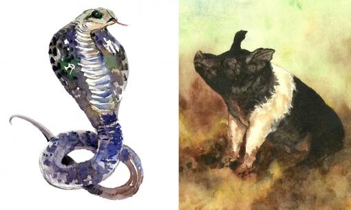 Tử vi 12 con giáp thứ 2 ngày 26/9/2022: Tuổi Tỵ mọi việc thuận lợi, Hợi dễ vướng phải rắc rối