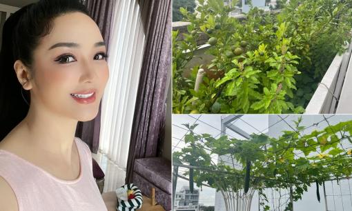 Hoa hậu Giáng My khoe thành quả thu hoạch rau củ quả 'bội thu' trong biệt thự xa hoa