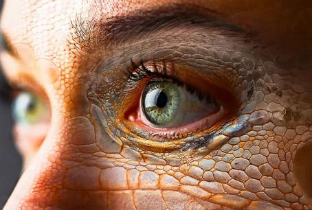 Vi khuẩn sống ở đâu nhiều nhất trong cơ thể và ảnh hưởng thế nào đến sức khỏe con người?