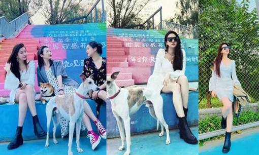 Lưu Diệc Phi khoe ảnh đi chơi cùng hội bạn gái, diện đầm giá rẻ vẫn gây sốt vì đôi chân dài miên man