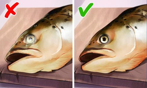 7 cách để kiểm tra xem thực phẩm có tốt để ăn sau khi không đụng đến trong thời gian dài hay không