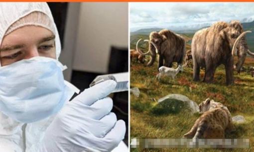 Các nhà khoa học đang cố gắng mang lại 9 loài động vật đã tuyệt chủng từ lâu, bạn biết không?