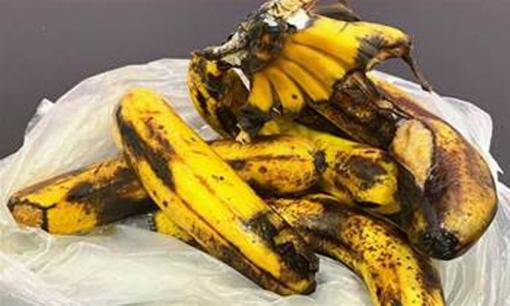 Đừng vội vứt chuối thối đi, chuối càng thối lại càng “có giá”, 'phép thuật' hay đến nỗi bà con lối xóm cũng muốn học hỏi