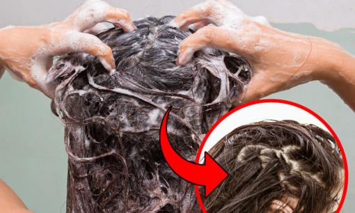 7 việc sẽ gây hại cho tóc của bạn trong quá trình gội đầu, khiến tóc ngày càng xơ rối