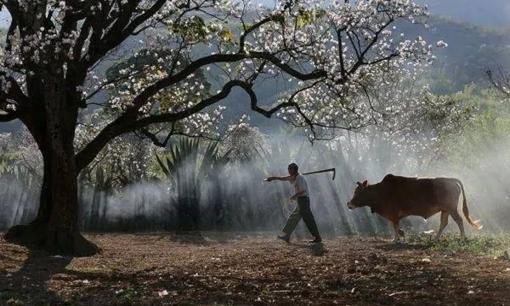 'Con người tham lam ba thứ, cả đời bận rộn', đấy là ba thứ nào? Sớm biết ít chịu thiệt!