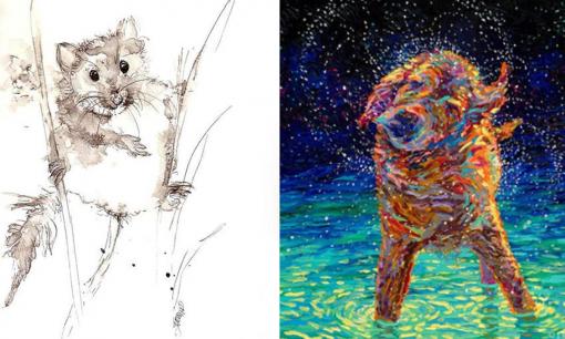 Tử vi 12 con giáp thứ 3 ngày 1/11/2022: Tuổi Tuất có quý nhân che chở, Tý vướng họa tiểu nhân