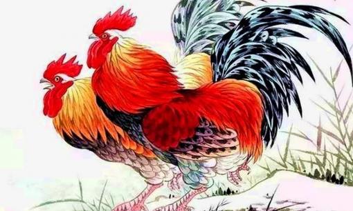 Xin chúc mừng! Cuối năm, vận may đến trước cửa nhà, tiền tài tăng vọt, sự nghiệp của 3 con giáp suôn sẻ