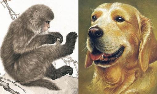 Tử vi 12 con giáp thứ 3 ngày 8/11/2022: Tuổi Thân có vận may ghé thăm, Tuất chịu nhiều vất vả