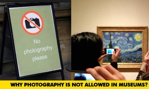 Vì sao nhiều bảo tàng, thủy cung cấm du khách chụp ảnh?