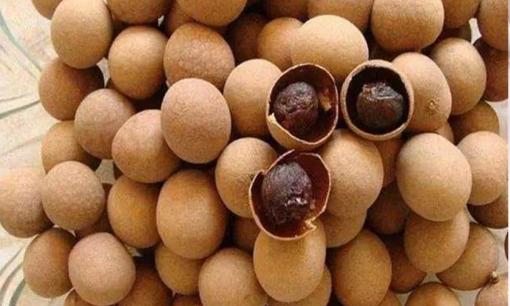 Nhớ giữ lại vỏ nhãn còn thừa, chúng đặc biệt “quý giá” và giúp bạn giải quyết rắc rối tại nhà