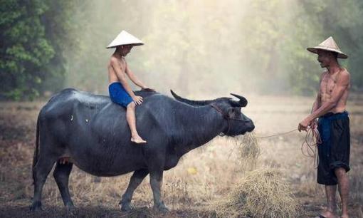 Có 3 thói quen này thì mãi không thoát kiếp bần hàn, đặc biệt là loại thứ 3