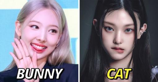 Những sao nữ Hàn có gương mặt giống... động vật