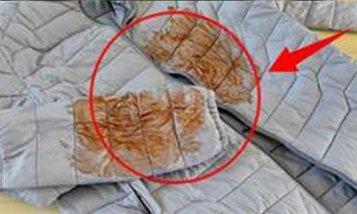 Nếu áo khoác lông vũ bị bẩn, đừng giặt khô hoặc giặt máy. Đây là cách đơn giản để làm sạch nó trong vài phút!